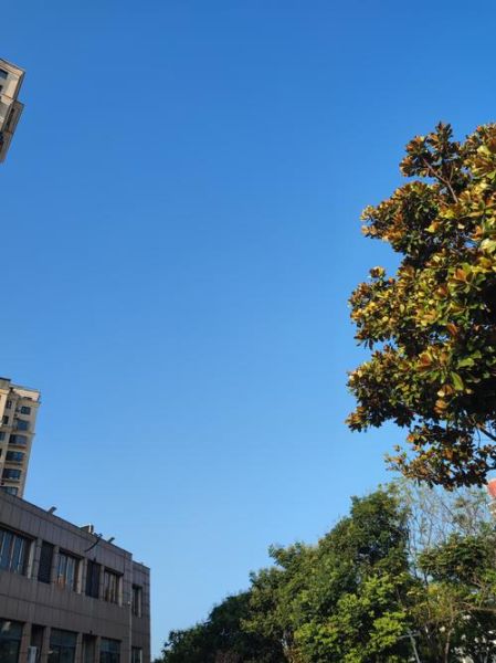 晴朗的清晨适合做什么_晴朗的清晨怎么拍好看