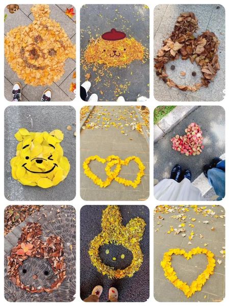 落叶的形状像什么_落叶形状有哪些