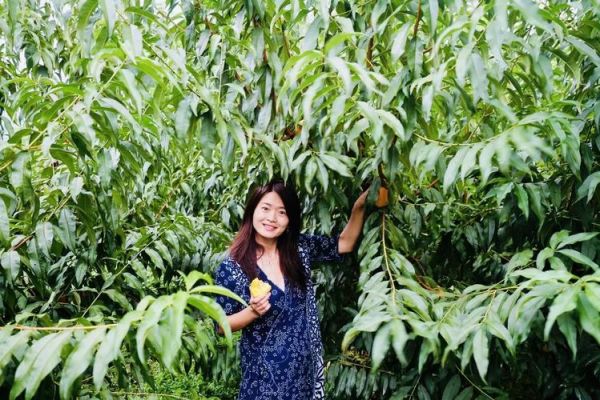 高山果园适合种什么果树_高山果园如何管理