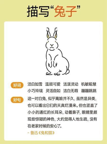 兔子怎么填词语_兔子填词语有哪些技巧
