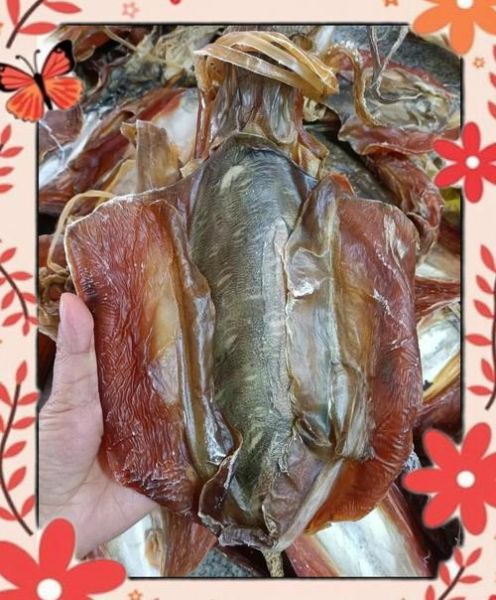 墨鱼炖排骨的做法_墨鱼炖排骨怎么做好吃