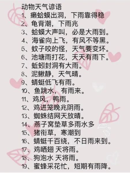 动物景物词语有哪些_如何描写动物与景物