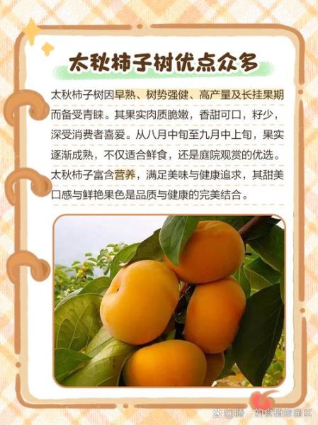 秋天有哪些优点_秋天为什么受欢迎 秋天有哪些优点_秋天为什么受欢迎