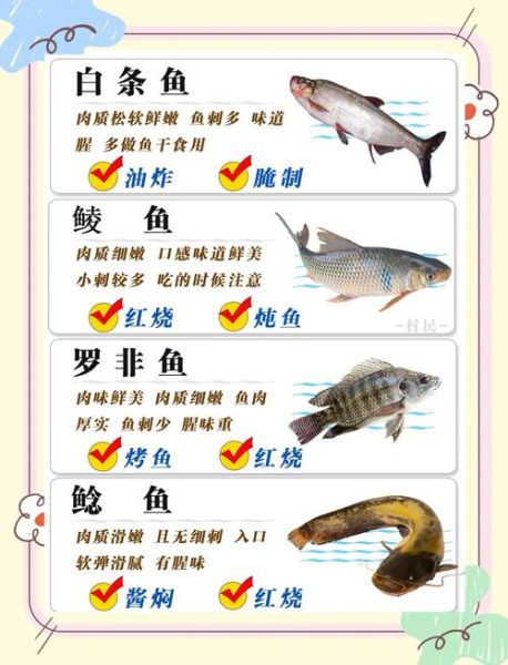 鱼的营养价值_鱼怎么做好吃