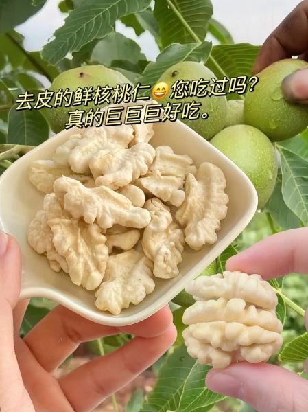 凉拌核桃仁怎么做_核桃仁凉拌要不要焯水