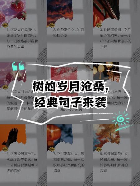 沧桑是什么意思_沧桑的句子怎么写