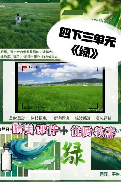 绿色长青词语有哪些_如何持续运用