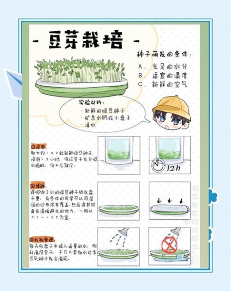 绿豆芽怎么发_绿豆芽的做法步骤