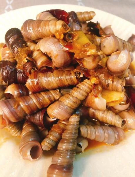 钉螺怎么做好吃_钉螺清洗方法