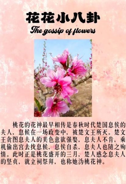 桃花什么时候开_桃花的花语是什么