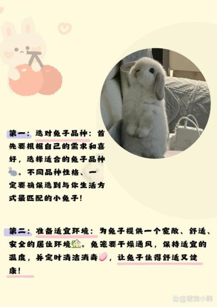 狗兔能一起养吗_狗兔混养注意事项