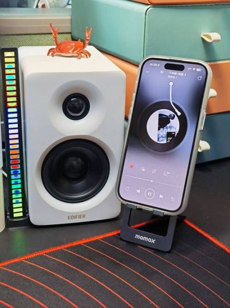 手机音箱哪个品牌好_手机音箱怎么连接