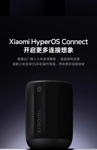 手机音箱哪个品牌好_手机音箱怎么连接