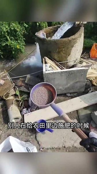 农民如何科学施肥_农民种什么最赚钱