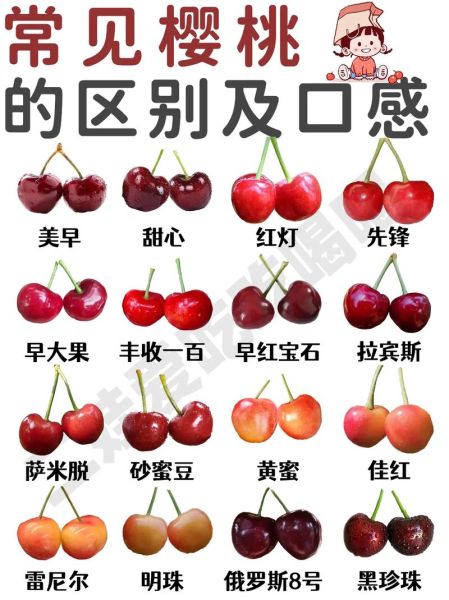 车里子什么味道_车里子口感怎么样