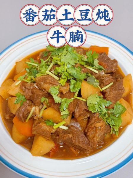 红烧牛腩怎么做好吃_家常红烧牛腩的做法步骤