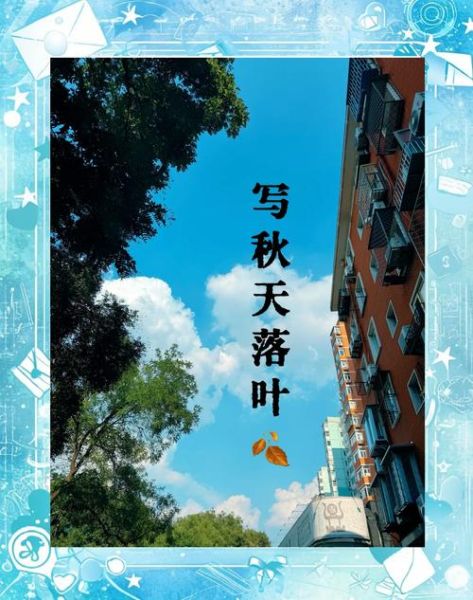 落叶飘落的过程_落叶飘落代表什么含义