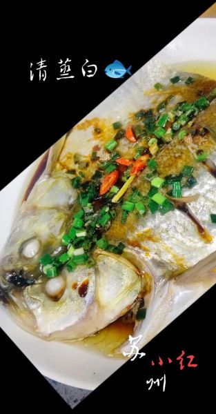 白鲢鱼怎么做好吃_白鲢鱼的家常做法