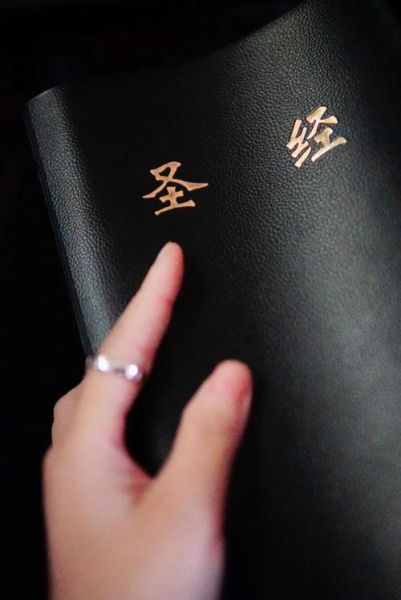 手机版圣经哪个好用_如何离线阅读