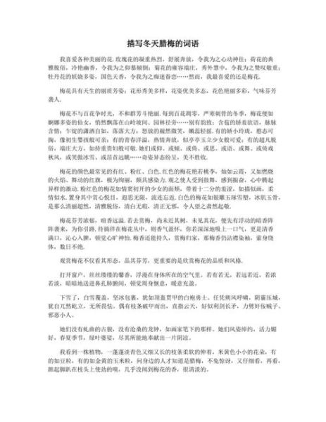 雪中腊梅怎么描写_雪中腊梅好词语有哪些
