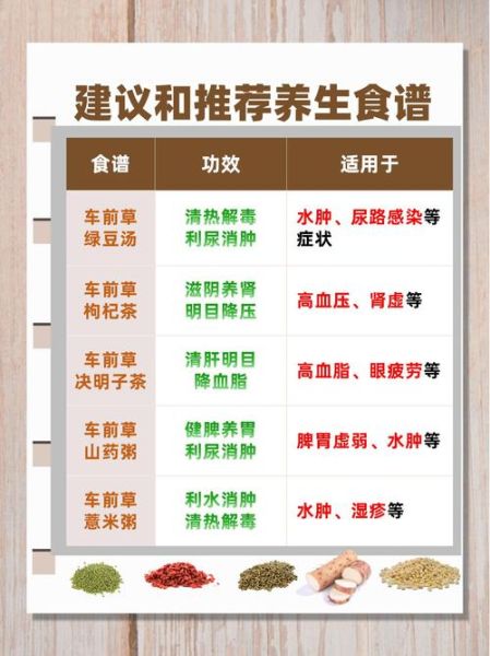 车前草怎么煮水喝_车前草煲汤做法大全