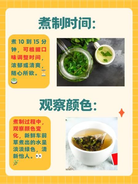 车前草怎么煮水喝_车前草煲汤做法大全