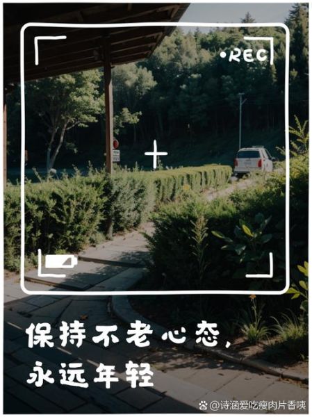 如何保持年轻_不老的词语有哪些