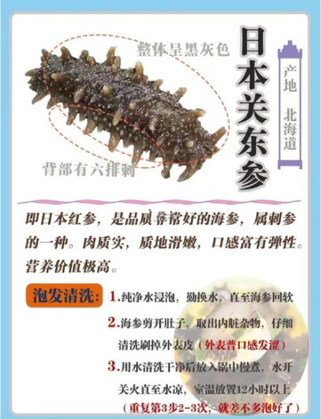 鲜海参怎么泡发_鲜海参怎么吃最营养