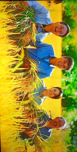 山河锦绣是什么意思_山河锦绣的出处和用法