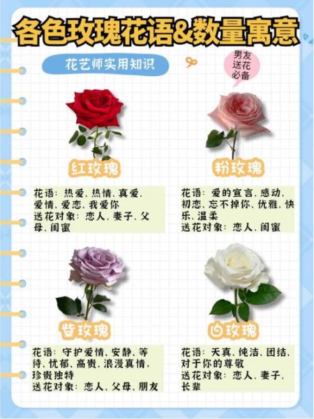 玫瑰花语大全_送几朵代表什么含义