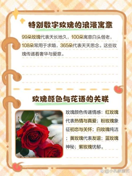 玫瑰花语大全_送几朵代表什么含义