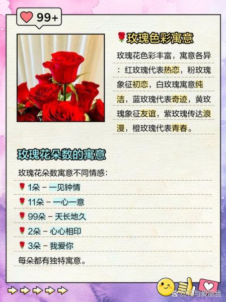 玫瑰花语大全_送几朵代表什么含义
