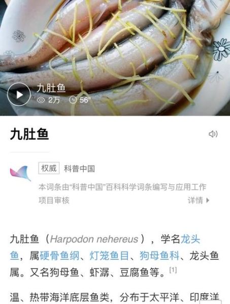 九肚鱼怎么做好吃_九肚鱼的家常做法