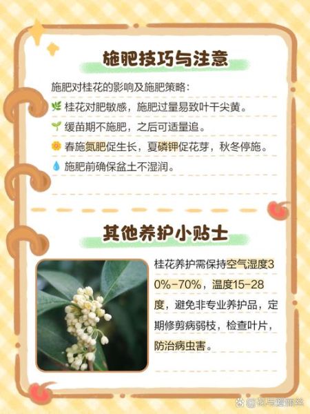 桂花怎么养_桂花树多久开花