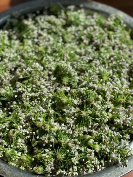 韭菜花酱怎么做_韭菜花酱保存多久