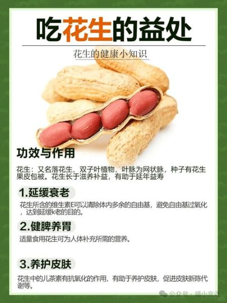 花生有哪些品种_花生有哪些营养价值