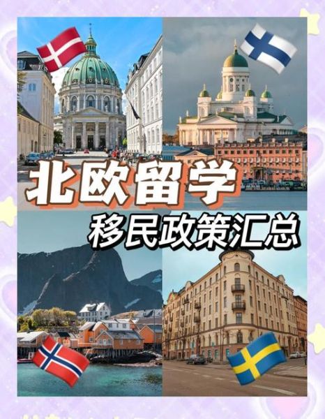 如何技术移民北欧_技术移民北欧需要什么条件