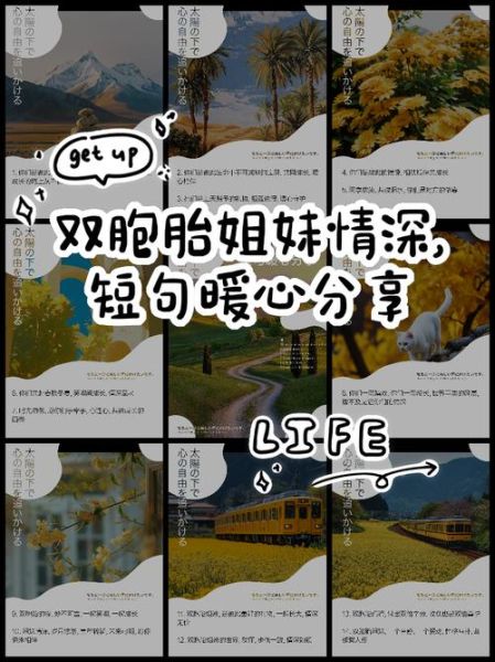 共同同享是什么意思_共同同享与共享的区别