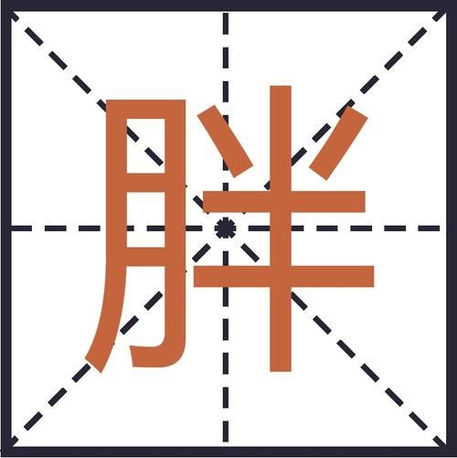 形容男孩很胖的词语有哪些_如何委婉表达