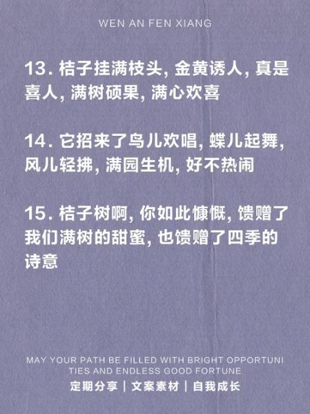 晒成果怎么写_晒成果文案模板