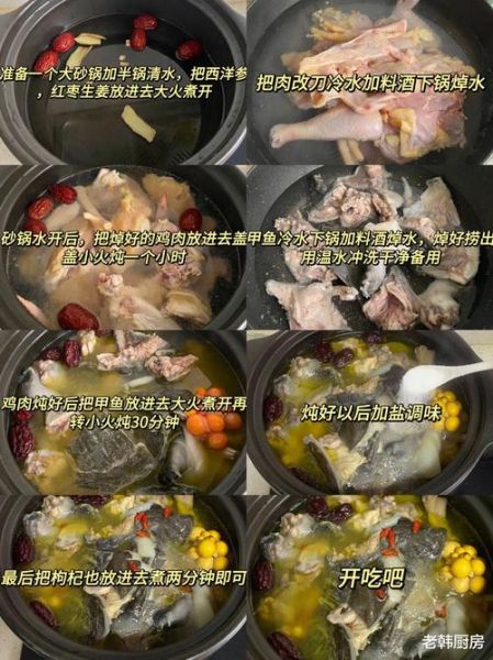 清炖甲鱼汤怎么炖不腥_家常做法步骤详解