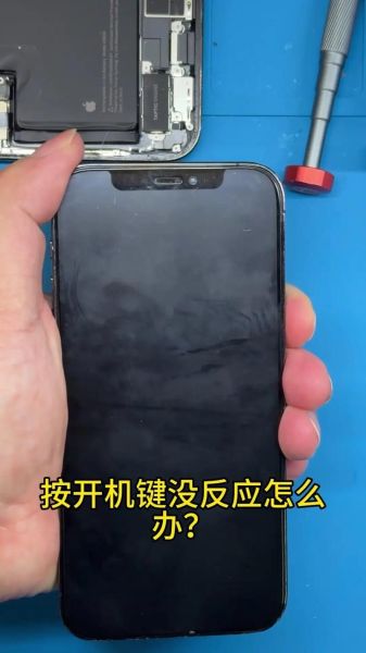 苹果手机进水怎么办_苹果手机进水后多久能开机