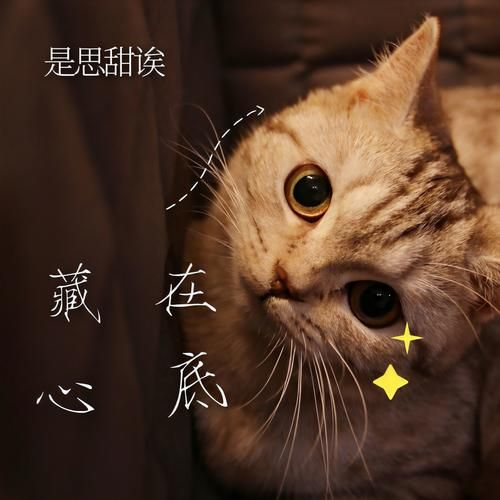 思甜是什么意思_思甜词语怎么用