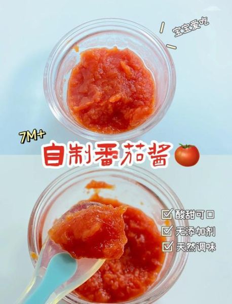 家常西红柿酱怎么做_西红柿酱保存多久