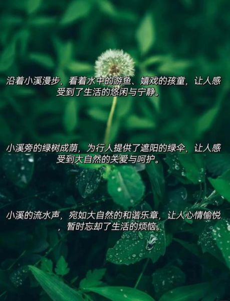 小溪怎么形容_小溪的声音怎么写