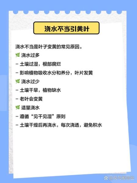 树叶为什么会变黄_树叶变黄的常见原因