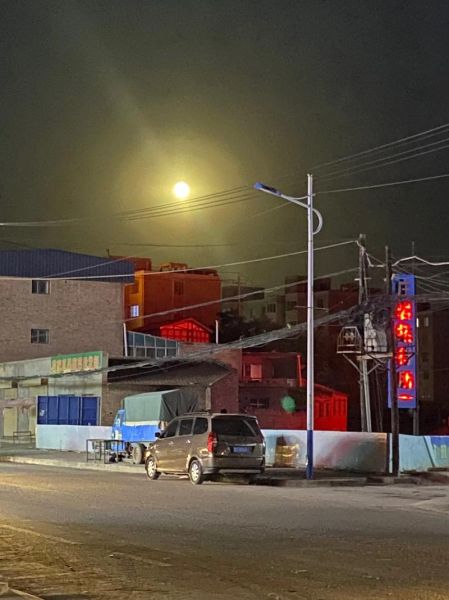 诺华移民怎么样_诺华移民靠谱吗