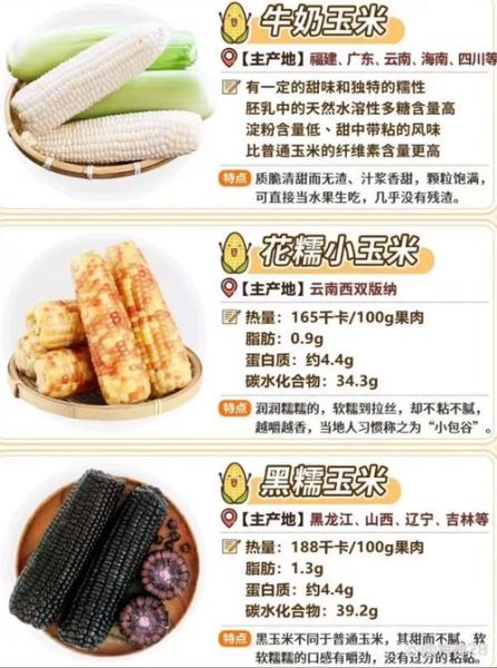 甜糯玉米和糯玉米的区别_哪个更好吃