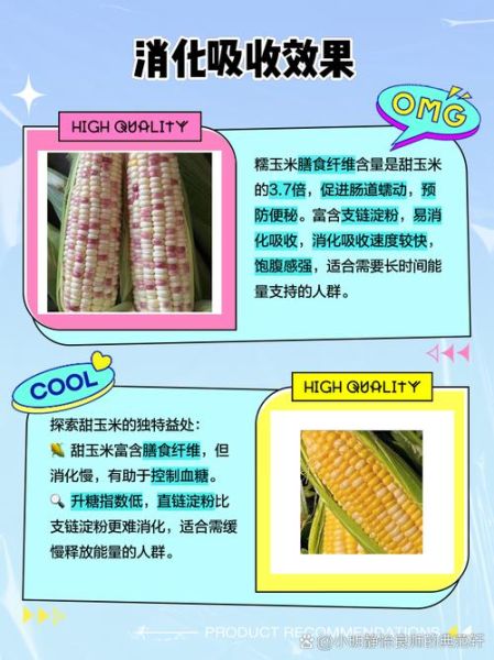 甜糯玉米和糯玉米的区别_哪个更好吃