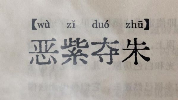 暗紫的词语有哪些_暗紫的词语怎么写